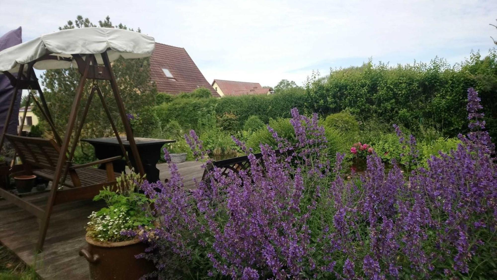 Ferienwohnung Teschow Teschow  Exteriér fotografie